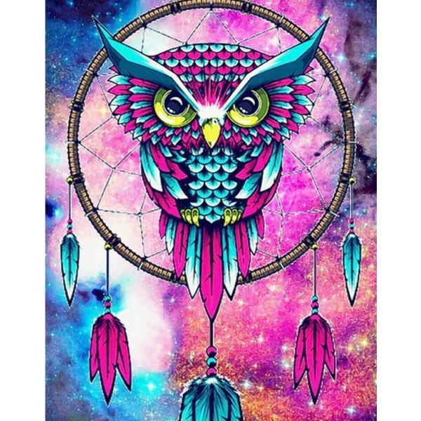 Birds Colorful Big Dream Catcher Owl Square Diamonds