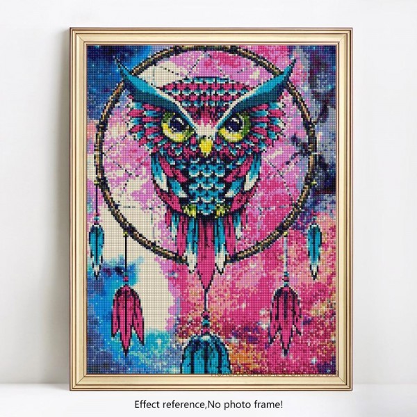 Birds Colorful Big Dream Catcher Owl Square Diamonds