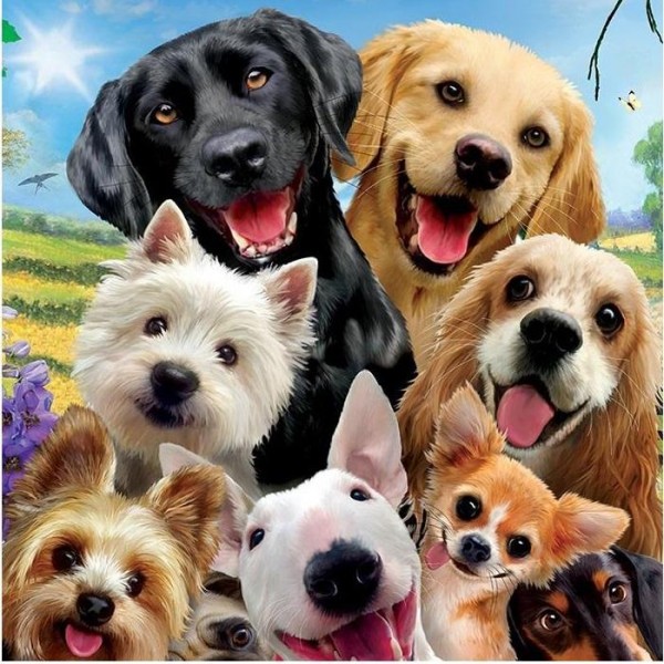 Animal Diamond Painting Kits Custom Dogs Selfie
