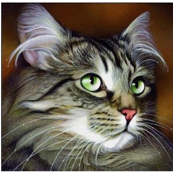 Animal Diamond Painting Amazon Cute Cat With Beautiful Eyes Diamond Painting Kit