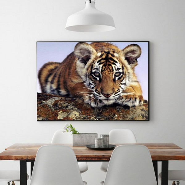 Animal A Little Tiger Waiting To Be Fed Diamond Art