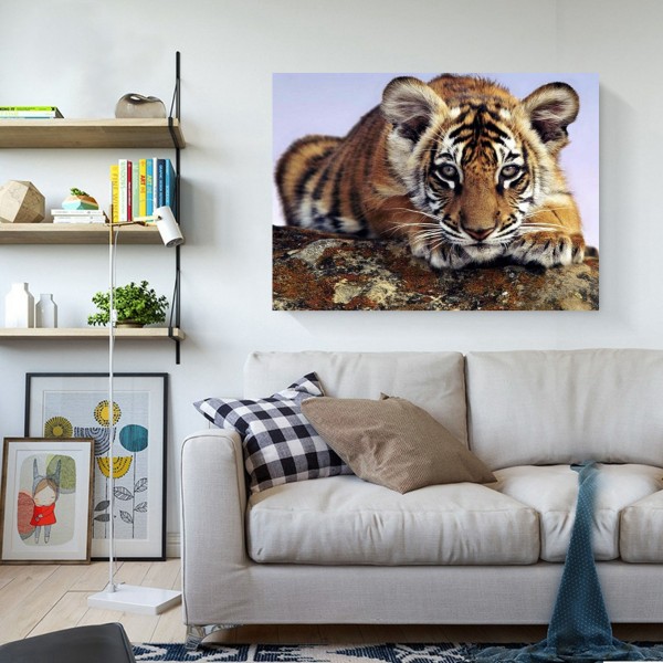 Animal A Little Tiger Waiting To Be Fed Diamond Art