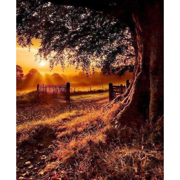 Landscape Evening In Autumn Season Sunset