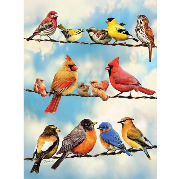 Parrots Birds – 5d Diamond Art Square Diamonds