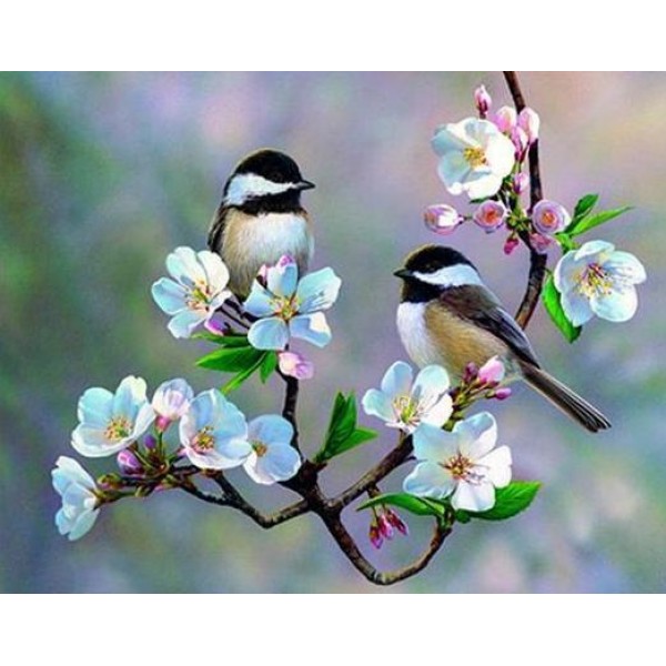 5d Diamond Painting Supplies White Flowers & Sparrows Daimond Art Kit