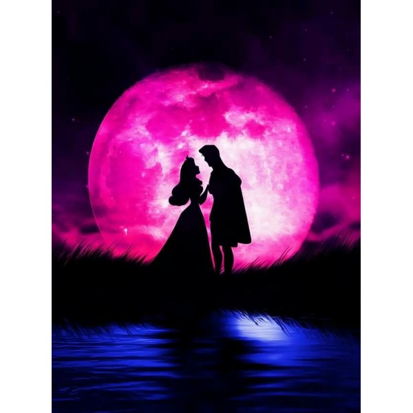 Variety A Pair Of Lovers Under The Pink Light Diamond Art