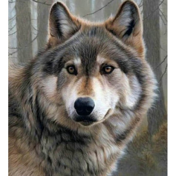 Full Diamond Painting Kits Vicious Wolf Staring