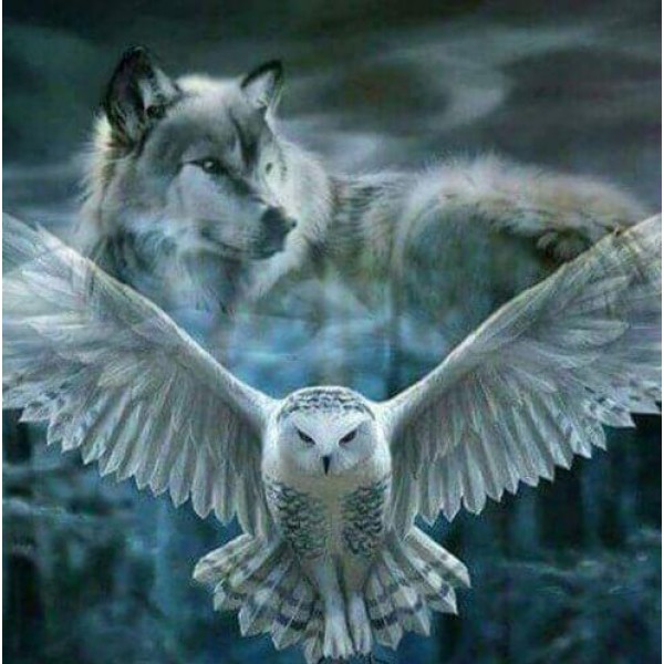 5d Crystal  Full Drill  Diamond Painting Flying Owl & Wolf Painting Kit