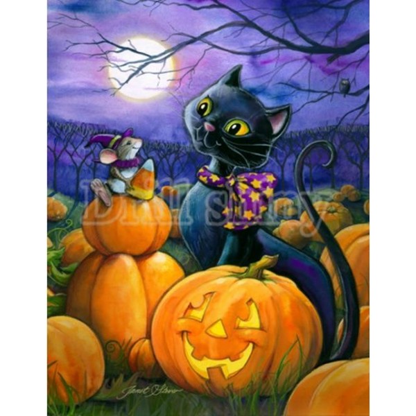 Animals Birds Scary Halloween & Pumpkins Painting Kits Owl Cat