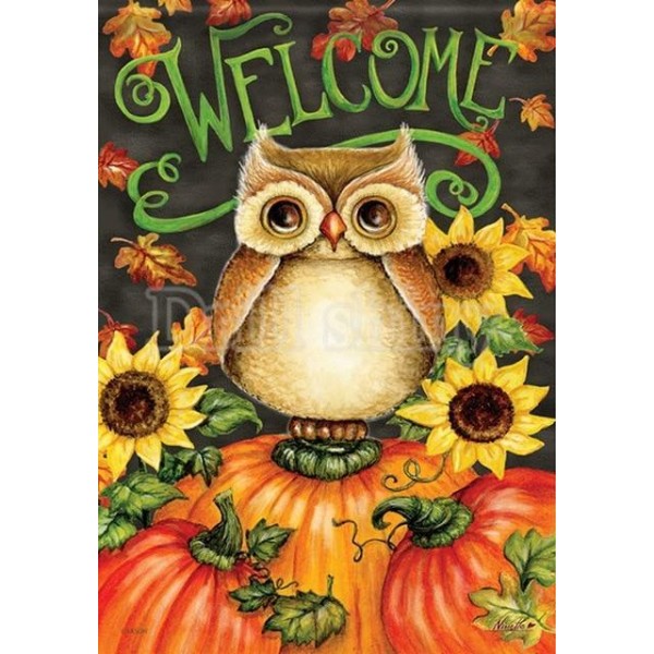 Animals Birds Scary Halloween & Pumpkins Painting Kits Owl Cat