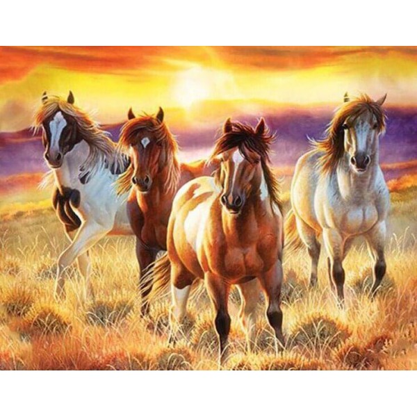 Animals Beautiful Horse Diamond Painting Kit