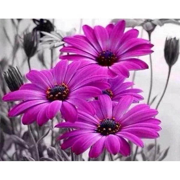 Attractive Purple Flowers Square Diamonds