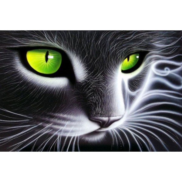 Animal A Black Cat With Yellow Eyes Diamond Art