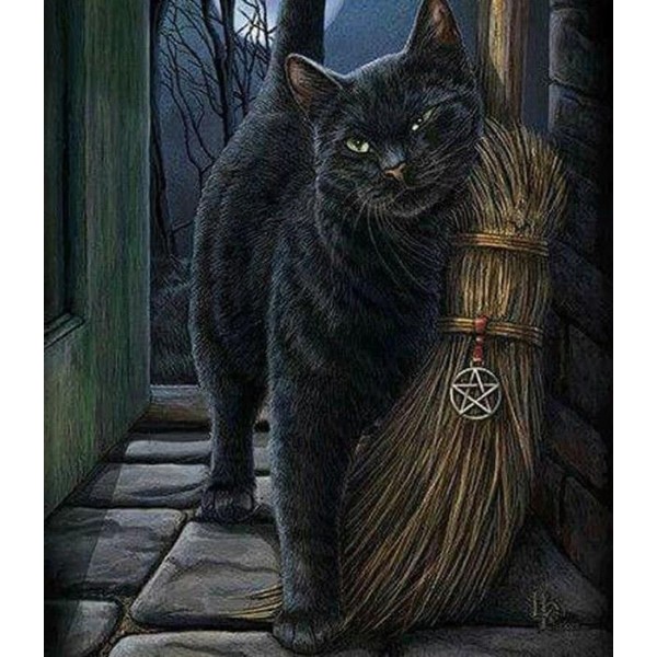 5d Animal Diamond Painting The Black Cat – Diamond Art Kit